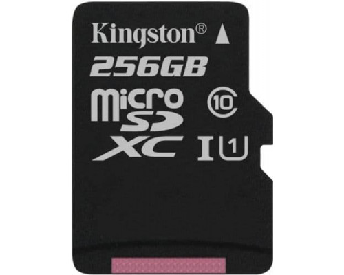 Для Nintendo Switch (б/у): Карта памяти MicroSD 256Gb Kingston Class 10 Canvas Select UHS-I U1 *diskont (б/у)