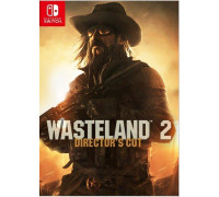 Игра Nintendo Switch (б/у): Wasteland 2: Director's Cut *diskont (б/у)